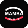 MAMBASNAKE