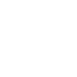 Логотип бренду VALKYRIE