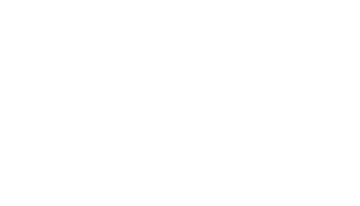 Логотип бренду DJI